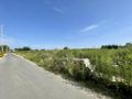 Działka budowlana 1250 m², Brzezina - zdjęcie 1