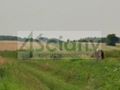 Działka rolna 3350 m², Stary Łajszczew - zdjęcie 2
