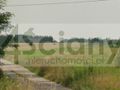 Działka rolna 3350 m², Stary Łajszczew - zdjęcie 1