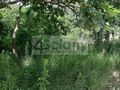 Działka budowlana 1420 m², Granica - zdjęcie 2