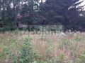 Działka budowlana 1420 m², Granica - zdjęcie 1