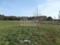 Działka budowlana 2,10 ha, Sierzchów - zdjęcie 3