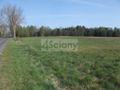 Działka budowlana 2,10 ha, Sierzchów - zdjęcie 4