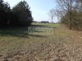 Działka budowlana 2,10 ha, Sierzchów - zdjęcie 1