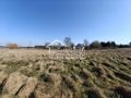 Działka budowlana 878&nbsp;m², Motaniec - zdjęcie 4