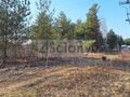 Działka budowlana 1366&nbsp;m², Michałów-Reginów - zdjęcie 2