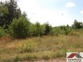 Działka budowlana 1,32&nbsp;ha, Żabia Wola - zdjęcie 5