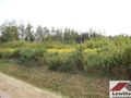 Działka budowlana 1,32&nbsp;ha, Żabia Wola - zdjęcie 3