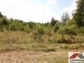Działka budowlana 1,32&nbsp;ha, Żabia Wola - zdjęcie 6