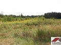 Działka budowlana 1,32&nbsp;ha, Żabia Wola - zdjęcie 1