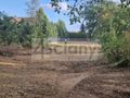 Działka budowlana 1046 m², Nowy Dwór Mazowiecki - zdjęcie 3