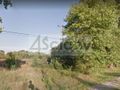 Działka rolna 4446&nbsp;m², Brześce - zdjęcie 2
