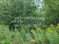 Działka budowlana 971&nbsp;m², Żółwin - zdjęcie 1