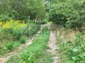 Działka budowlana 971&nbsp;m², Żółwin - zdjęcie 2