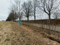 Działka pod zab. jednorodzinną w okolicach Bytowa. - zdjęcie 3