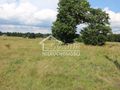 Działka budowlana 3003 m², Łęgi - zdjęcie 2