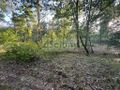 Działka budowlana 7600 m², Złotokłos - zdjęcie 2