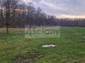 Działka budowlana 6000 m², Świętochów - zdjęcie 2