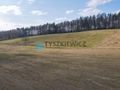 Działki rolne blisko lasu Mierzeszyn - zdjęcie 3