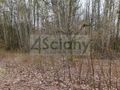 Działka budowlana 6307&nbsp;m², Milanówek - zdjęcie 1