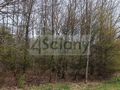 Działka budowlana 6307&nbsp;m², Milanówek - zdjęcie 2