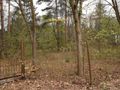 Działka rekreacyjna 752 m², Cyprianów - zdjęcie 3