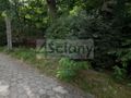 Działka budowlana 2500 m², Milanówek - zdjęcie 2