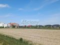 Działka budowlana 1246&nbsp;m², Zgorzała - zdjęcie 3