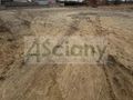 Działka budowlana 852 m², Nowe Lipiny - zdjęcie 1
