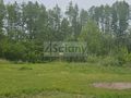 Działka budowlana 1428 m², Marynin - zdjęcie 3