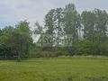 Działka budowlana 1442 m², Marynin - zdjęcie 2