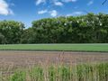 Działka budowlana 1,00 ha, Wojkowice - zdjęcie 6