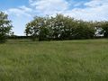 Działka budowlana 1,04 ha, Sobocisko - zdjęcie 3
