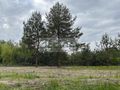 Działka budowlana 3155 m², Marynin - zdjęcie 1