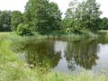 Działka budowlana 1,42 ha, Kal - zdjęcie 2