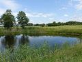 Działka budowlana 1,42 ha, Kal - zdjęcie 3
