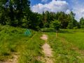 Urokliwa działka nad morzem 1000m2 przy lesie - zdjęcie 5
