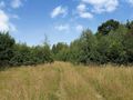 Działka budowlana 2404 m², Kudowa-Zdrój, Słoneczna - zdjęcie 5