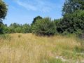 Działka budowlana 2484 m², Kudowa-Zdrój, Słoneczna - zdjęcie 5