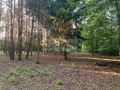 Działka budowlana 1351 m², Sulejówek - zdjęcie 2