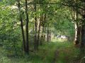 Działka budowlana 1351 m², Sulejówek - zdjęcie 3