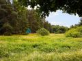 Działka przy lesie i koło rzeczki! - zdjęcie 5