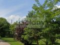 Działka budowlana 5621 m², Nadarzyn - zdjęcie 2