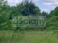 Działka budowlana 1650&nbsp;m², Rusiec - zdjęcie 4