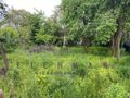 Działka budowlana 450&nbsp;m², Łódź, Widzew, Rokicińska - zdjęcie 1