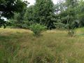 Działka budowlana 1881 m², Dobrzykowice, Rolna - zdjęcie 3