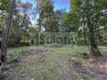 Działka budowlana 3800 m², Złotokłos - zdjęcie 4