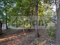 Działka budowlana 3800 m², Złotokłos - zdjęcie 2