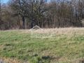 Działka rolna 1079 m², Kościno - zdjęcie 6