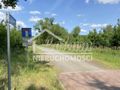 Działka rolna 1,23&nbsp;ha, Kościno - zdjęcie 4